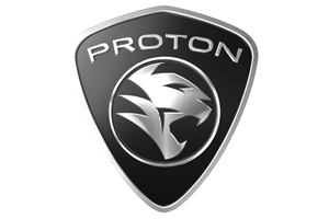 A Brief History of Proton