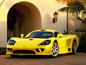 Saleen S7 7.0 V8 - [2000] image